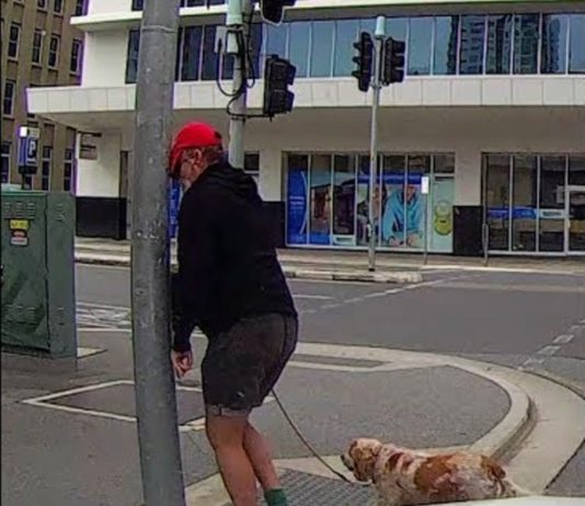 Don’t Walk Into a Post!