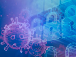 Pandemic Cyber Security