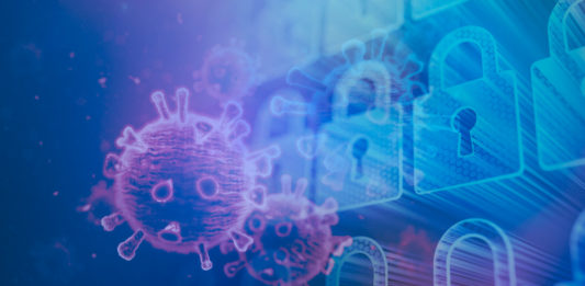 Pandemic Cyber Security