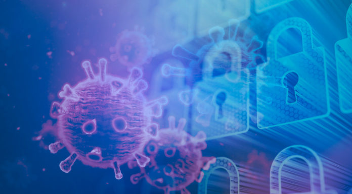 Pandemic Cyber Security