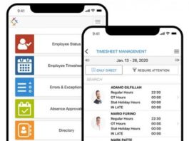 Time Entry – Switching to Synerion
